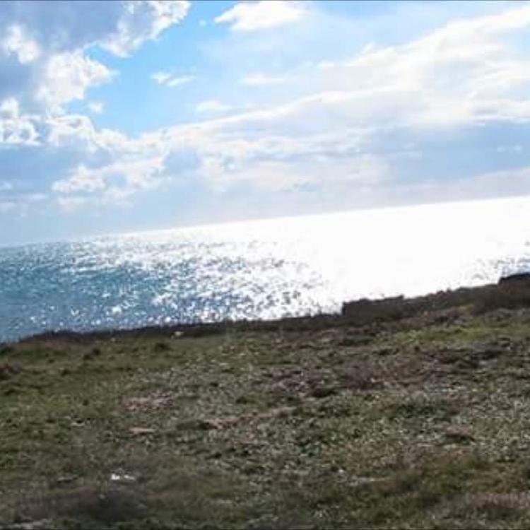 Donna Concetta Casa Vacanze Felline Dış mekan fotoğraf